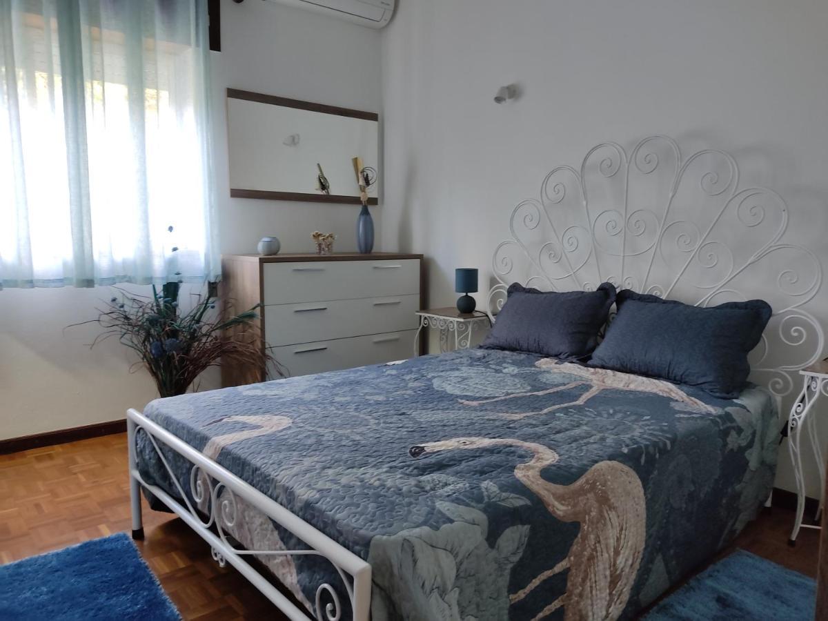 Casa Dos Avos Villa Vouzela Bagian luar foto
