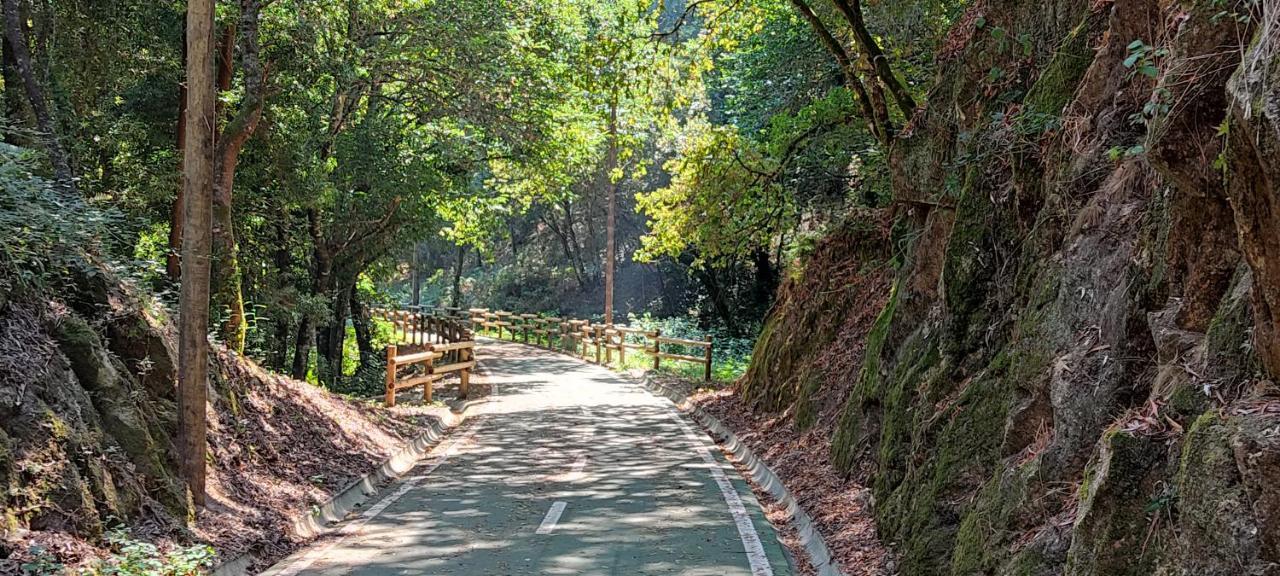 Casa Dos Avos Villa Vouzela Bagian luar foto