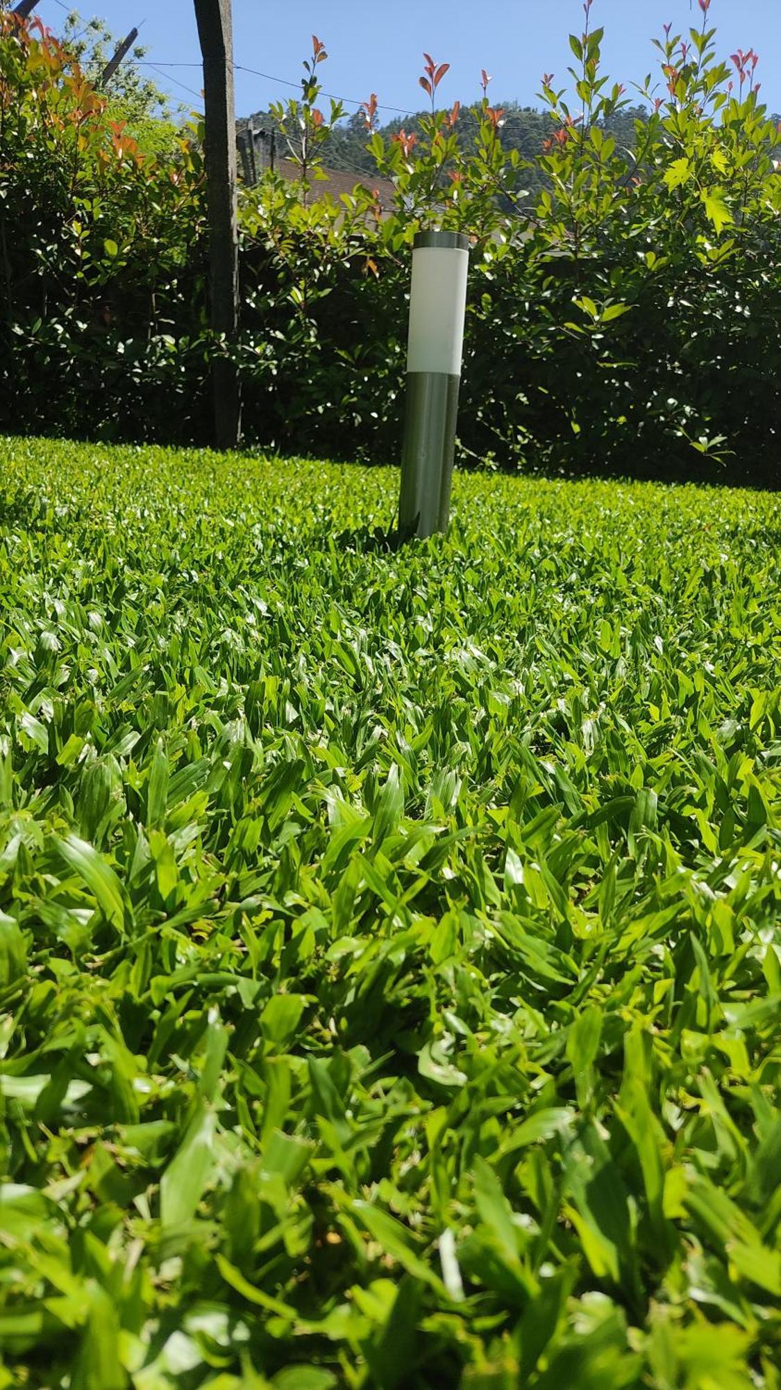 Casa Dos Avos Villa Vouzela Bagian luar foto
